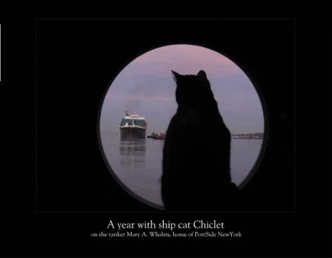 $200 donation - “year of Chiclet” photo calendar, 12 months of classic feline moments on a ship and pier, shot by award-winning photographer Carolina Salguero. Calendar Preview
/* Style Definitions */
table.MsoNormalTable
{mso-style-name:"Table Normal";
mso-tstyle-rowband-size:0;
mso-tstyle-colband-size:0;
mso-style-noshow:yes;
mso-style-parent:"";
mso-padding-alt:0in 5.4pt 0in 5.4pt;
mso-para-margin:0in;
mso-para-margin-bottom:.0001pt;
mso-pagination:widow-orphan;
font-size:10.0pt;
font-family:"Times New Roman";
mso-ansi-language:#0400;
mso-fareast-language:#0400;
mso-bidi-language:#0400;}