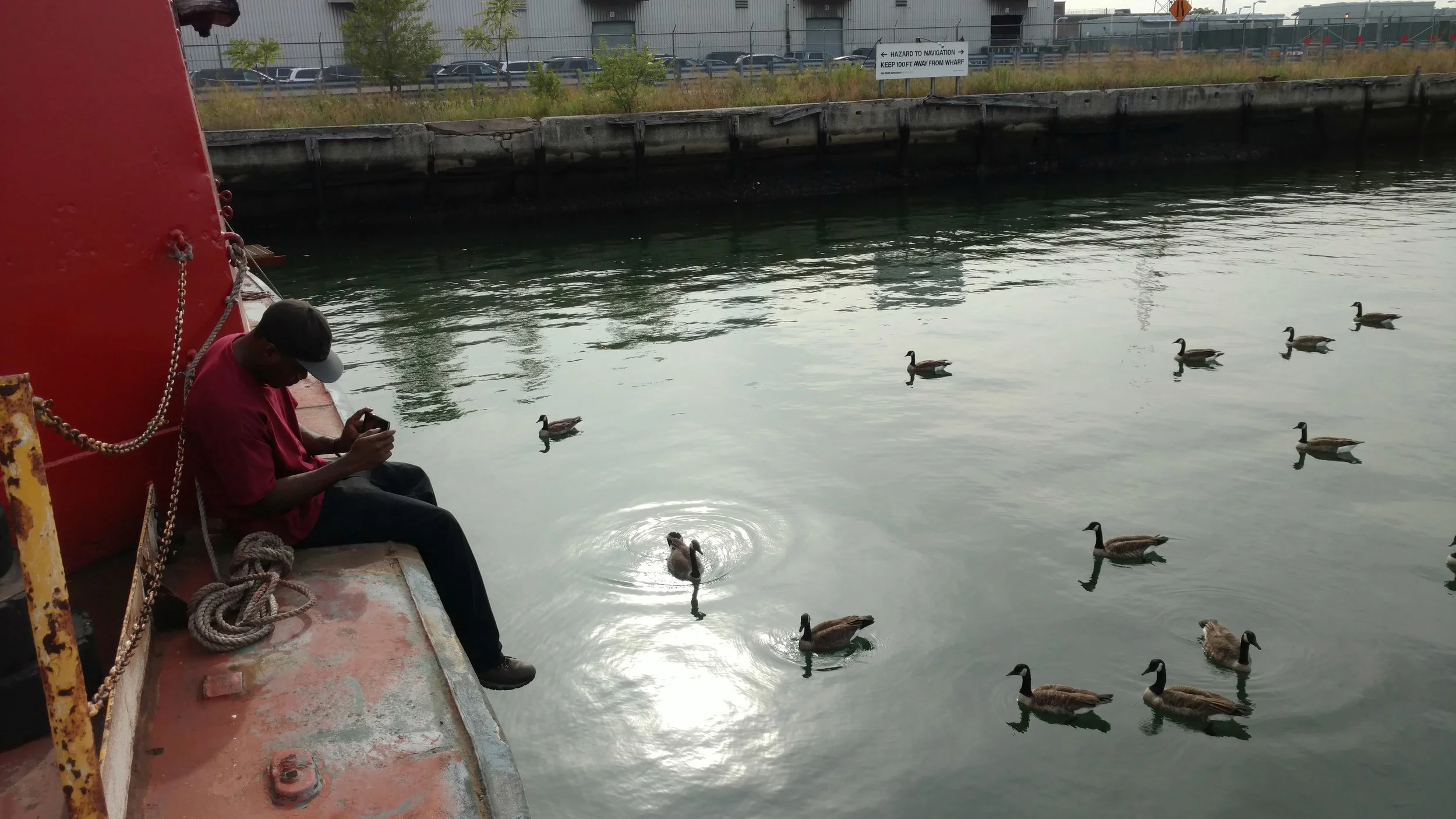 Osiris mosley taking a break and photographing geese and large schools of fish under them