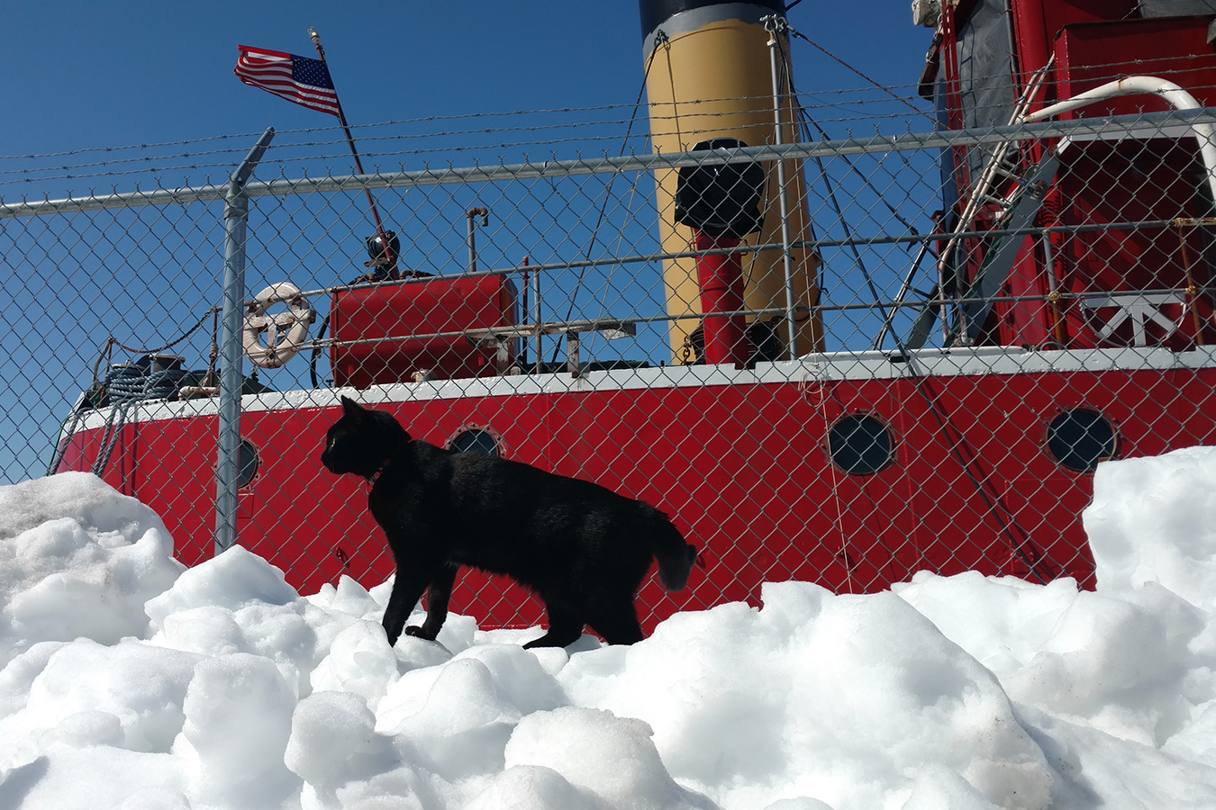 PortSide_ShipCatChiclet_8.jpg