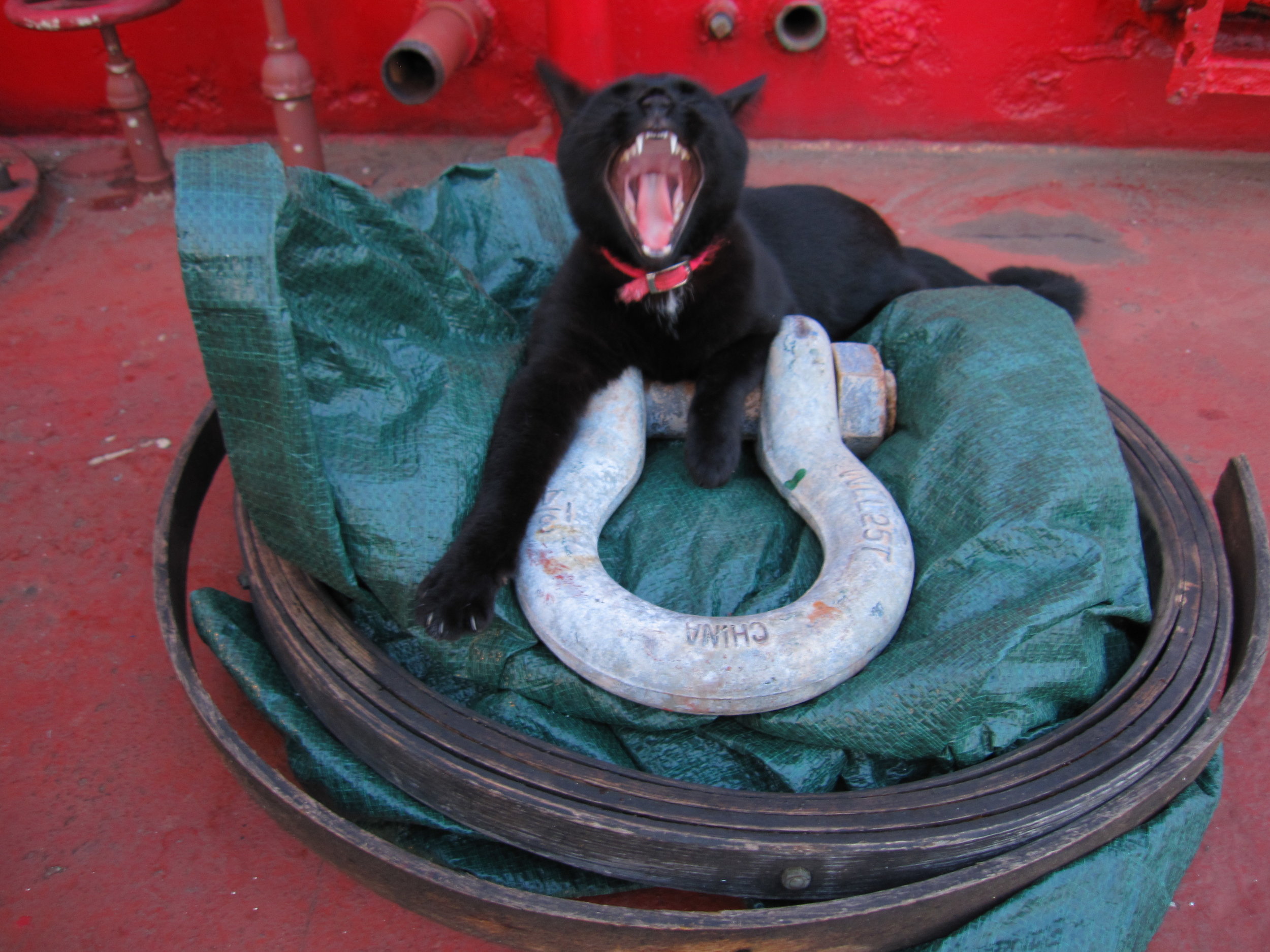 PortSide_ShipCatChiclet_2.jpg