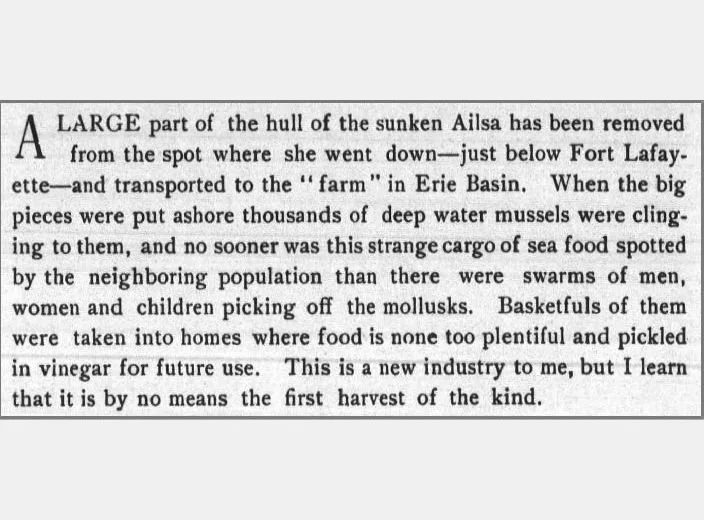 Happy #NationalPickleDay!
Beginning in the latter half of the 1800s pickles in barrels and cases were being shipped from Red Hook&rsquo;s Atlantic Basin.  Red Hook also had homegrown pickles -  not of cucumbers but of mussels.  The mussels were colle