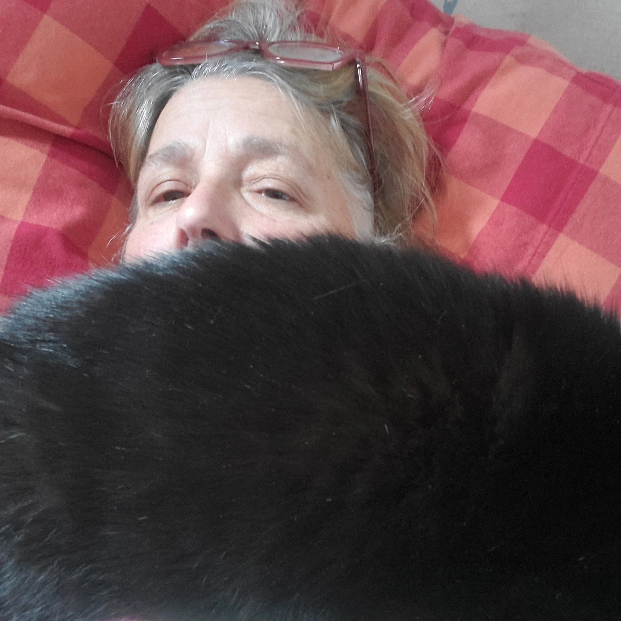 Happy #Caturday! Is an 8-pound fur boa in style? It's in basic black.🐈&zwj;⬛️⚓️

#shipcats #shipcatChiclet on the #MaryWhalen #RedHook #Brooklyn