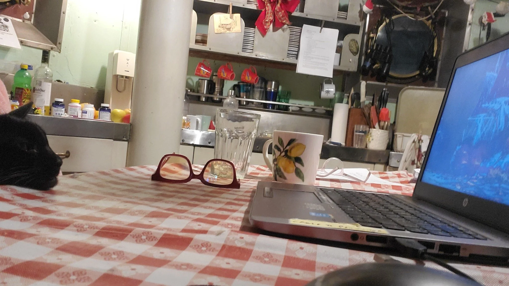 Happy #Caturday! Here is #shipcatChiclet watching Ken Burns' documentary &quot;The American Revolution.&quot; She highly recommends it. All 6 episodes. https://www.pbs.org/kenburns/the-american-revolution 

Episode 3 has a lot about our area since th