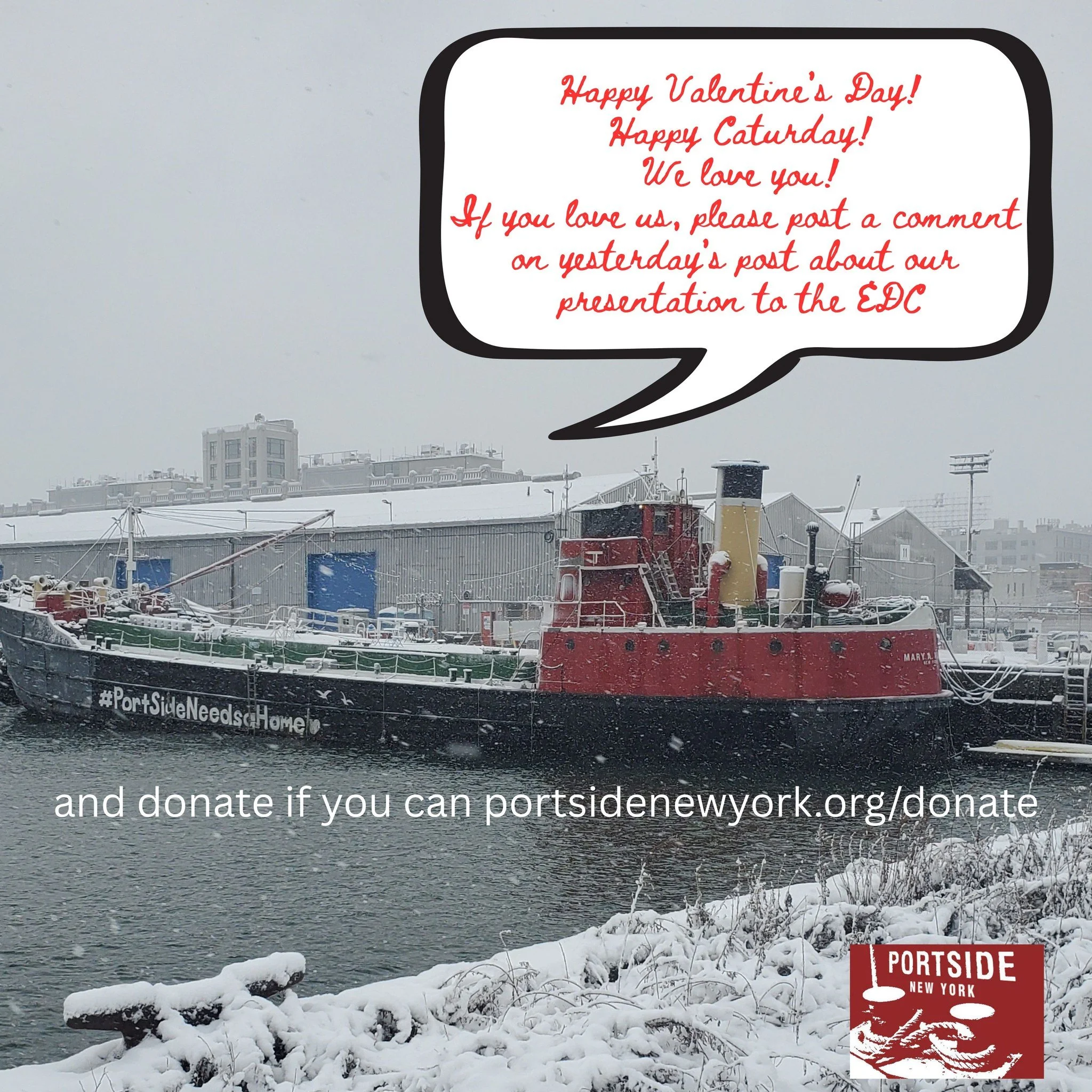 Happy Valentine's Day! Happy Caturday! We love you! If you love us, comment on our post from yesterday about our presentation to the EDC. And donate if you can. ❤🐾⚓️