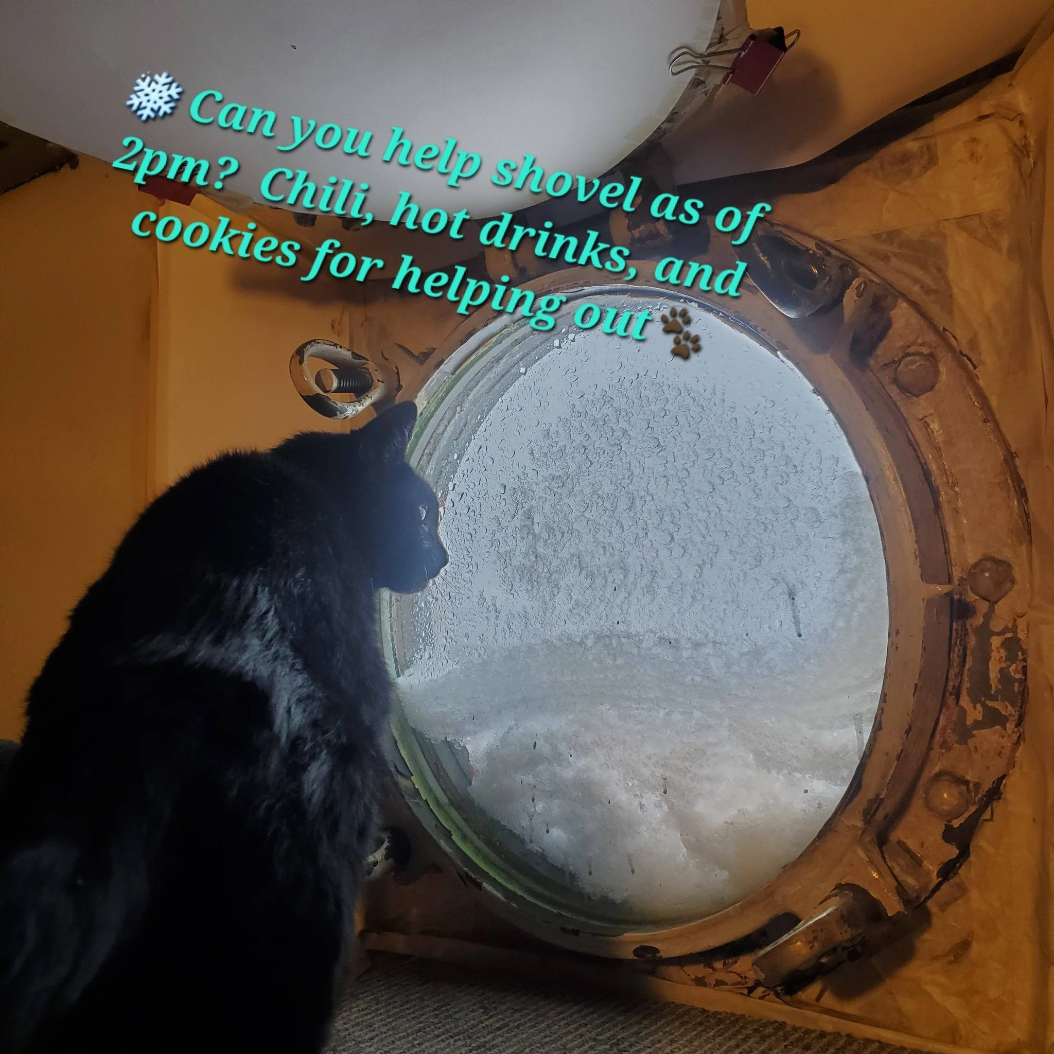 So... the wind did us a favor on the #MaryWhalen and scoured the main deck; so it's not soooo deep out there, but still; there's snow. And there are spaces on the pier to shovel.  Request for snow shoveling help as of 2pm today when snow should have 