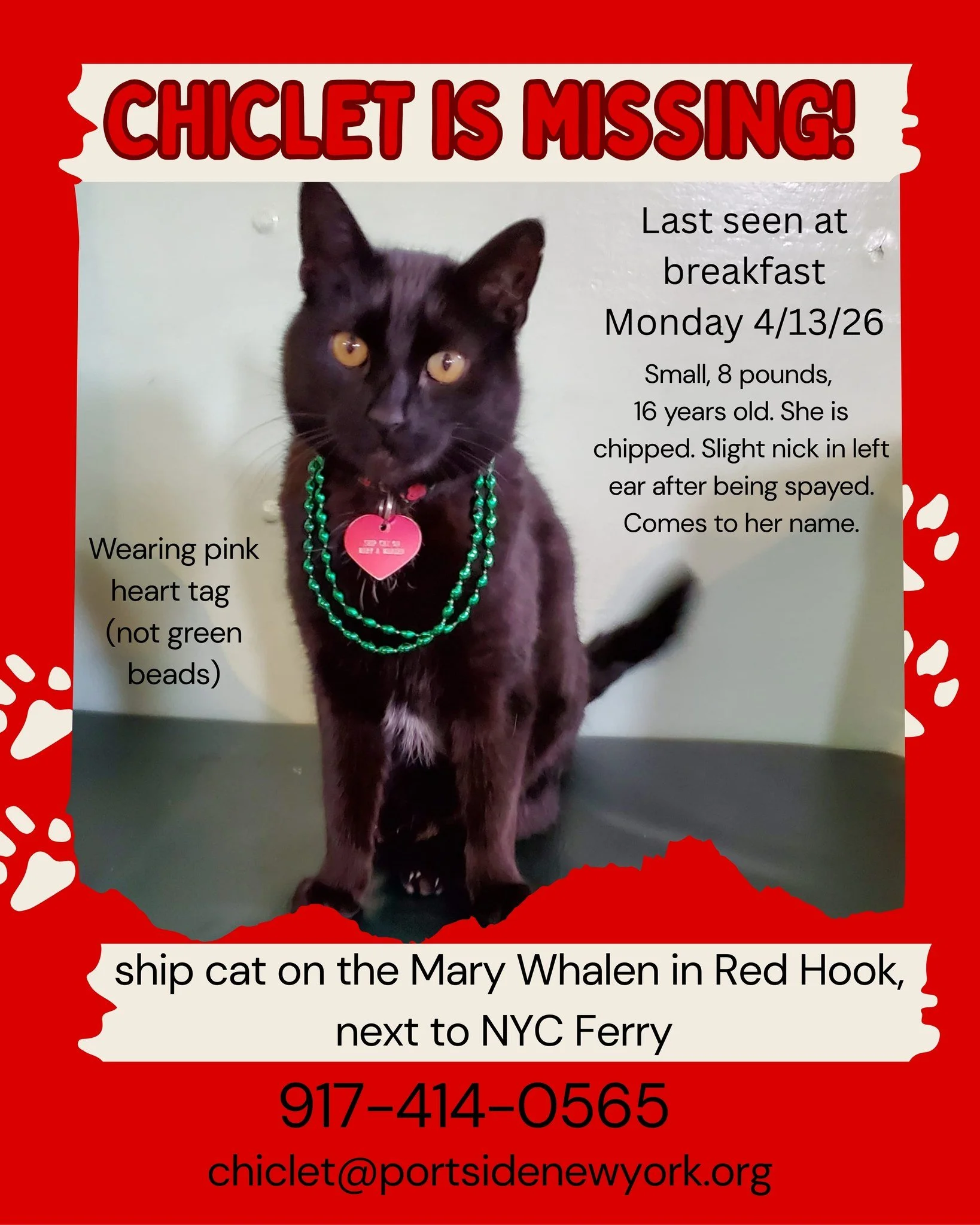 ALERT! Our ship cat Chiclet is missing! Last seen yesterday/Monday morning!

#lostcat #shipcatChiclet from #MaryWhalen in #RedHook #Brooklyn