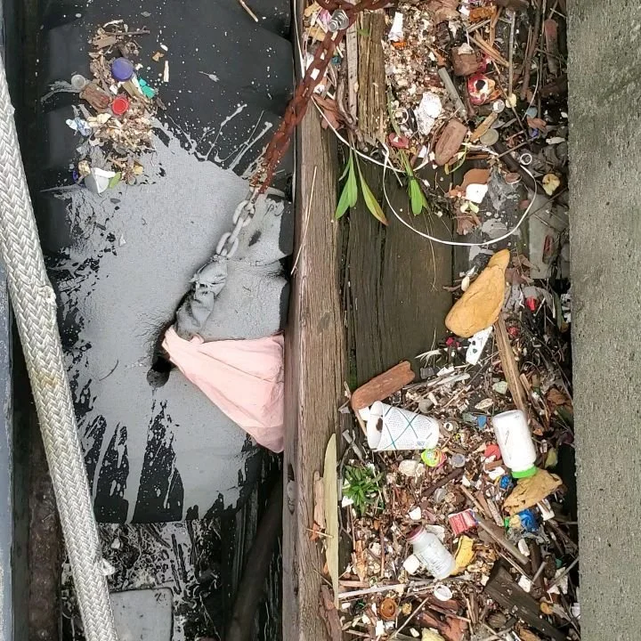 How can we get people to do a better job of keeping litter off our streets?! Here's what the water around the #MaryWhalen looks like around midday Tuesday 9/29/26 after last weekend's nor'easter. 

During storms, litter blows directly into the harbor