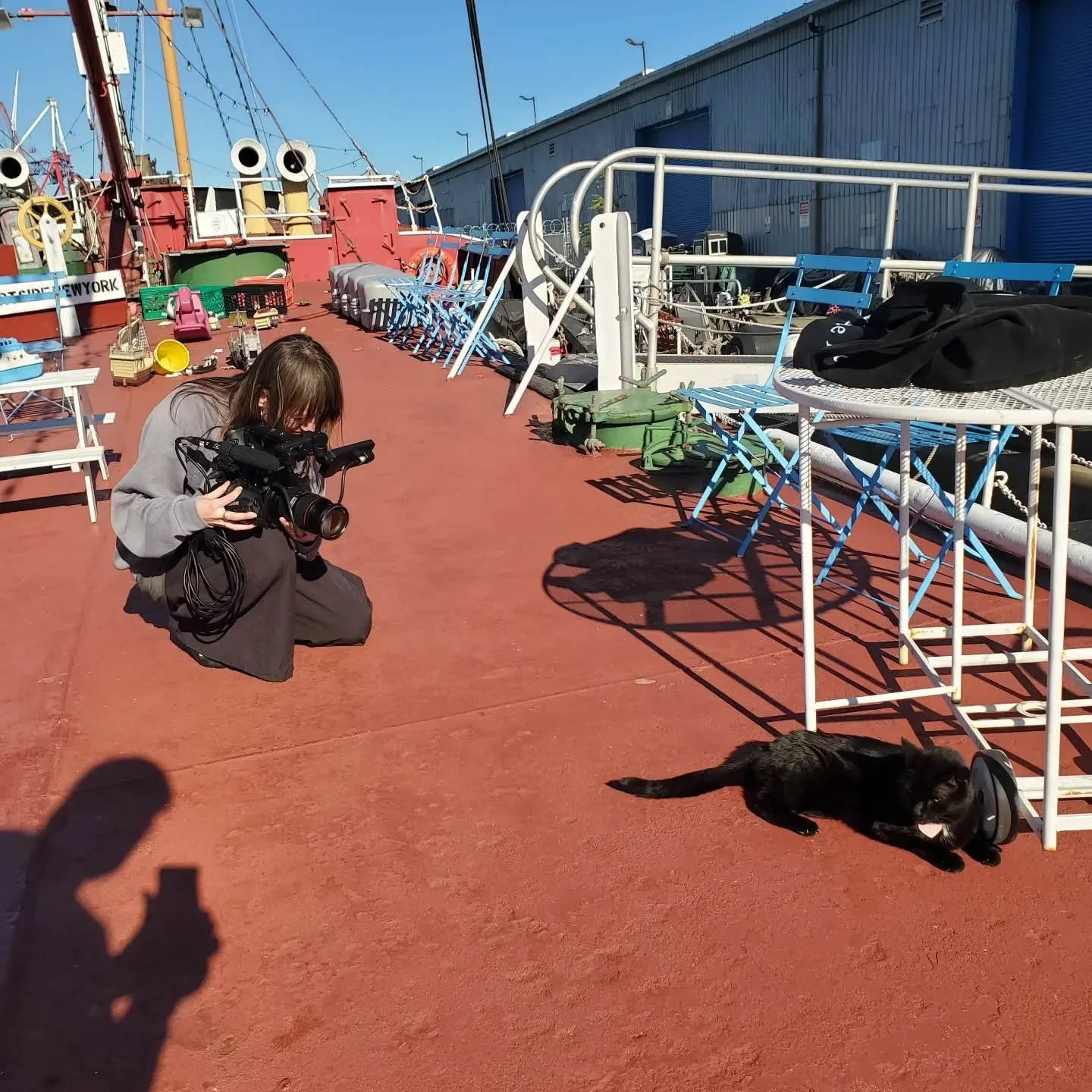 ❤️ Happy National Black Cat Day from our ship cat Chiclet! 

👏 It's a day to celebrate black cats and counteract all the superstitions.

🐈&zwj;⬛️ Black cats are still adopted at a much lower rate than others.