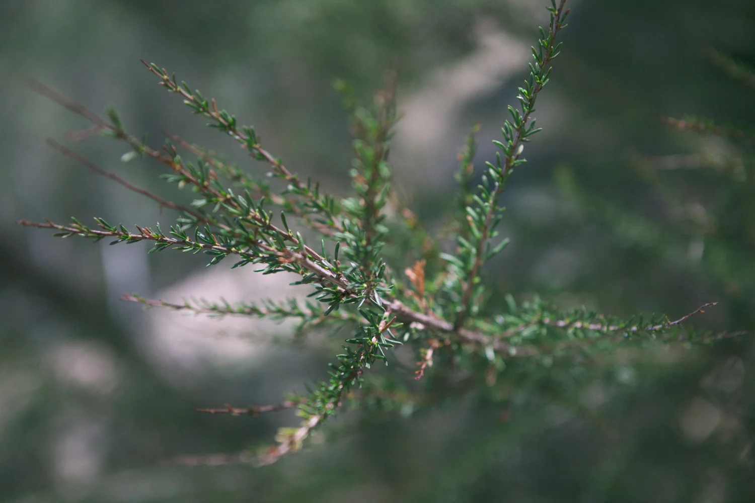 20140322-IMG_3566.jpg