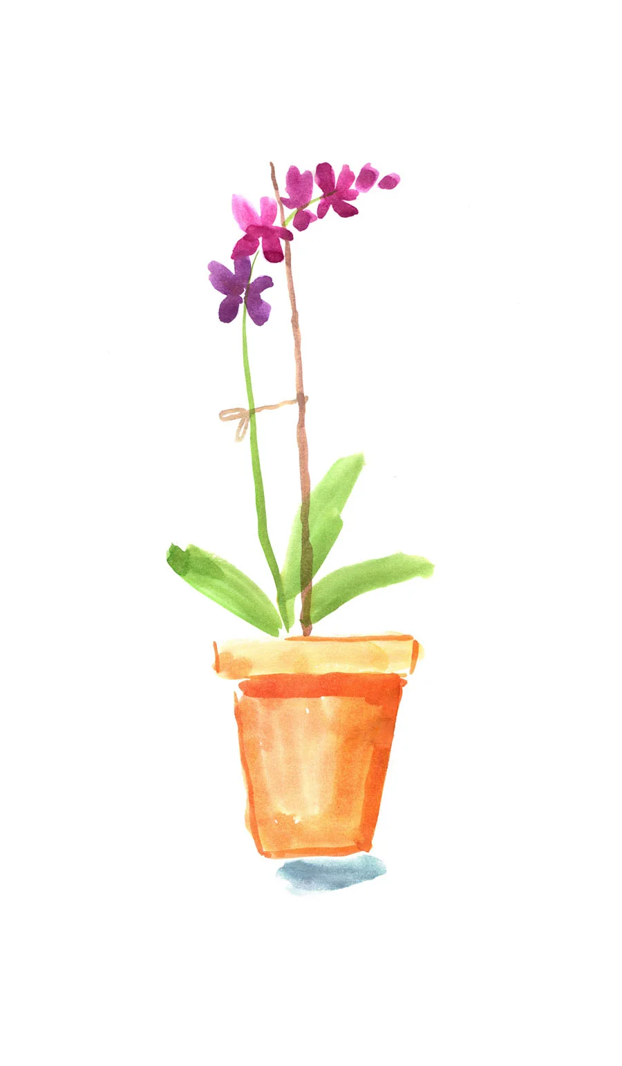 talitha_pp_PurpleOrchids.jpg