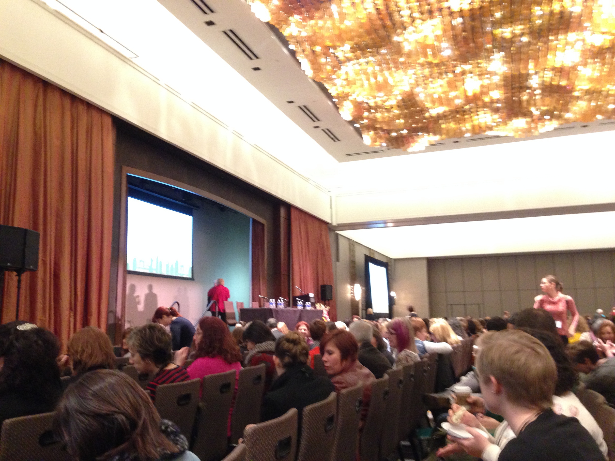 At the Conference