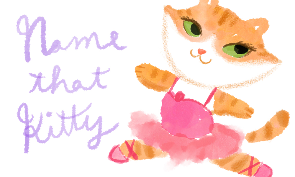 Name that Kitty Contest