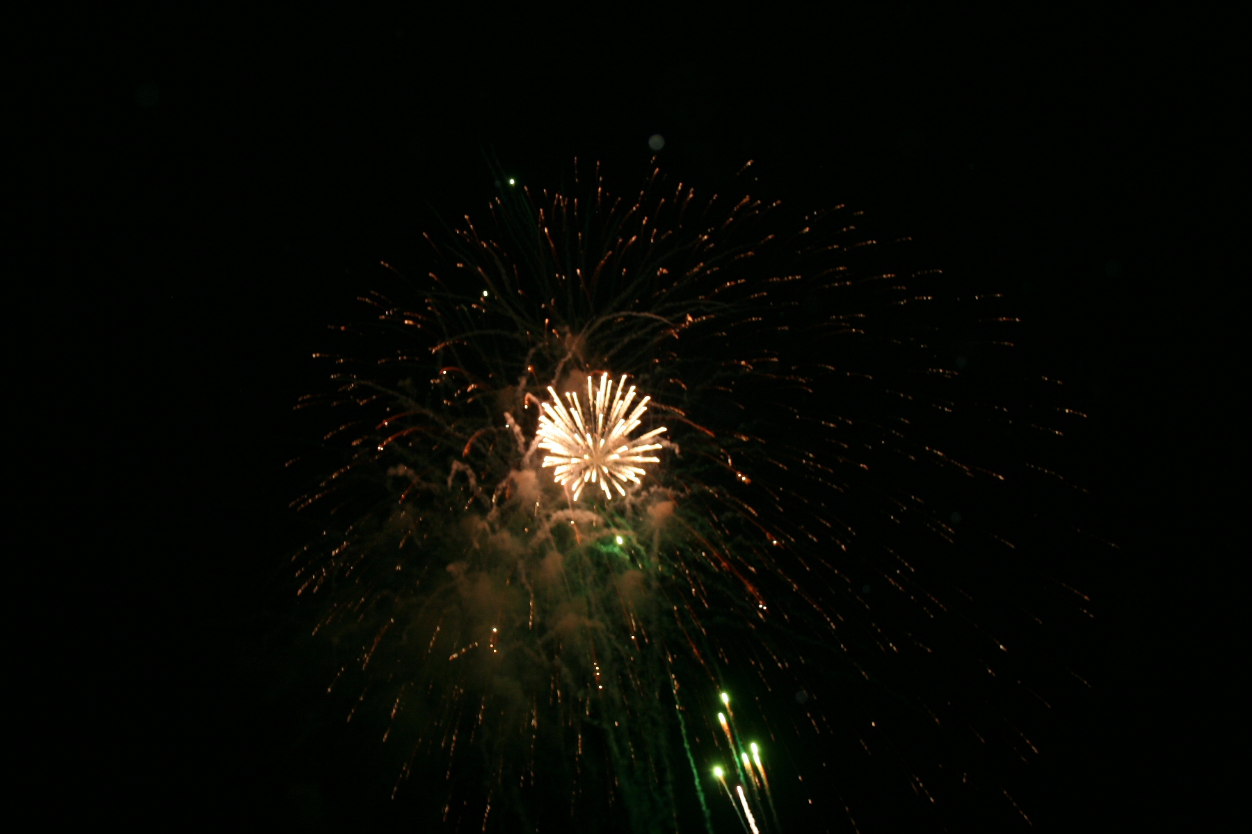 IMG_1282_0242_242.jpg