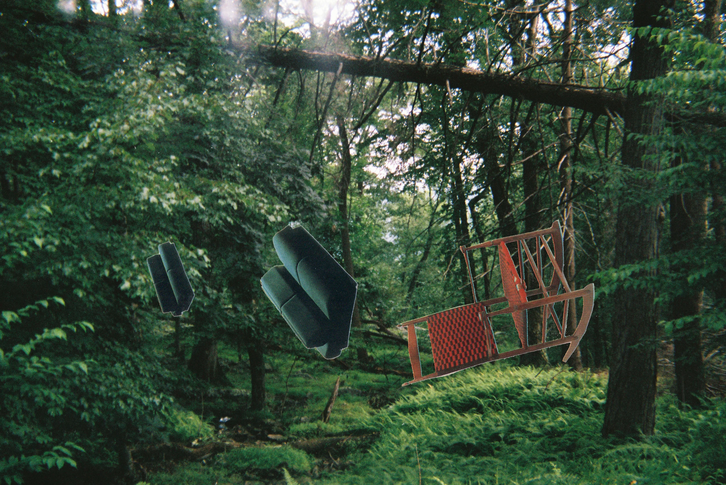 chairsforest.jpg