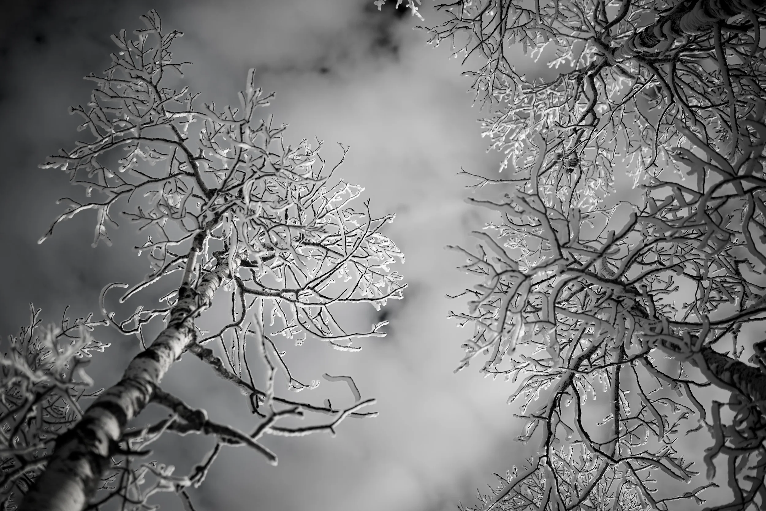 _DSC2943-Edit.jpg