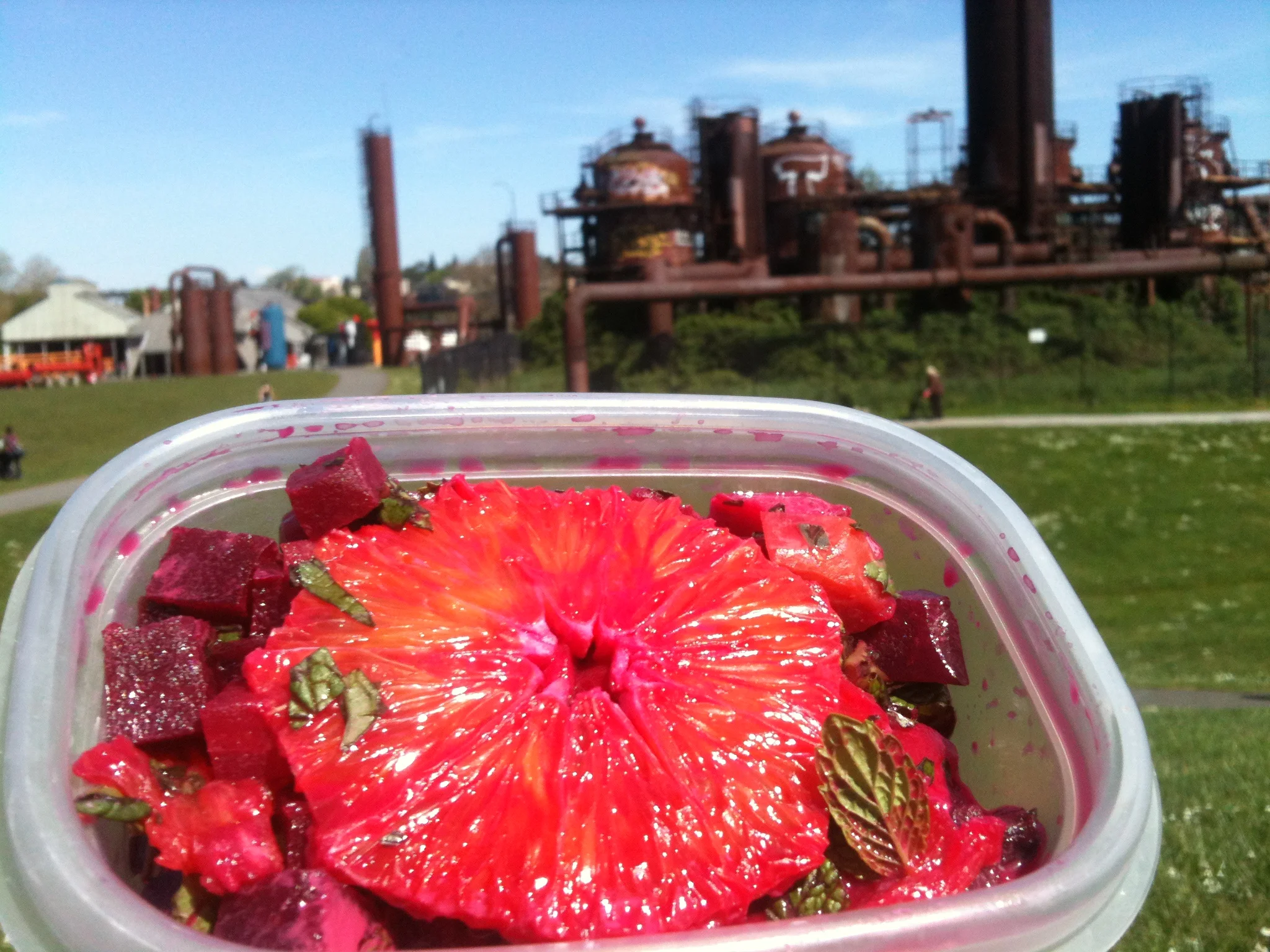 Le piquenique en Gasworks Park