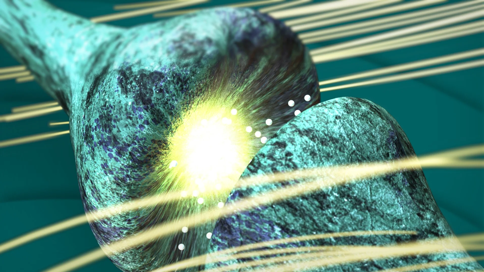 SYNP_16X9_v008.jpg