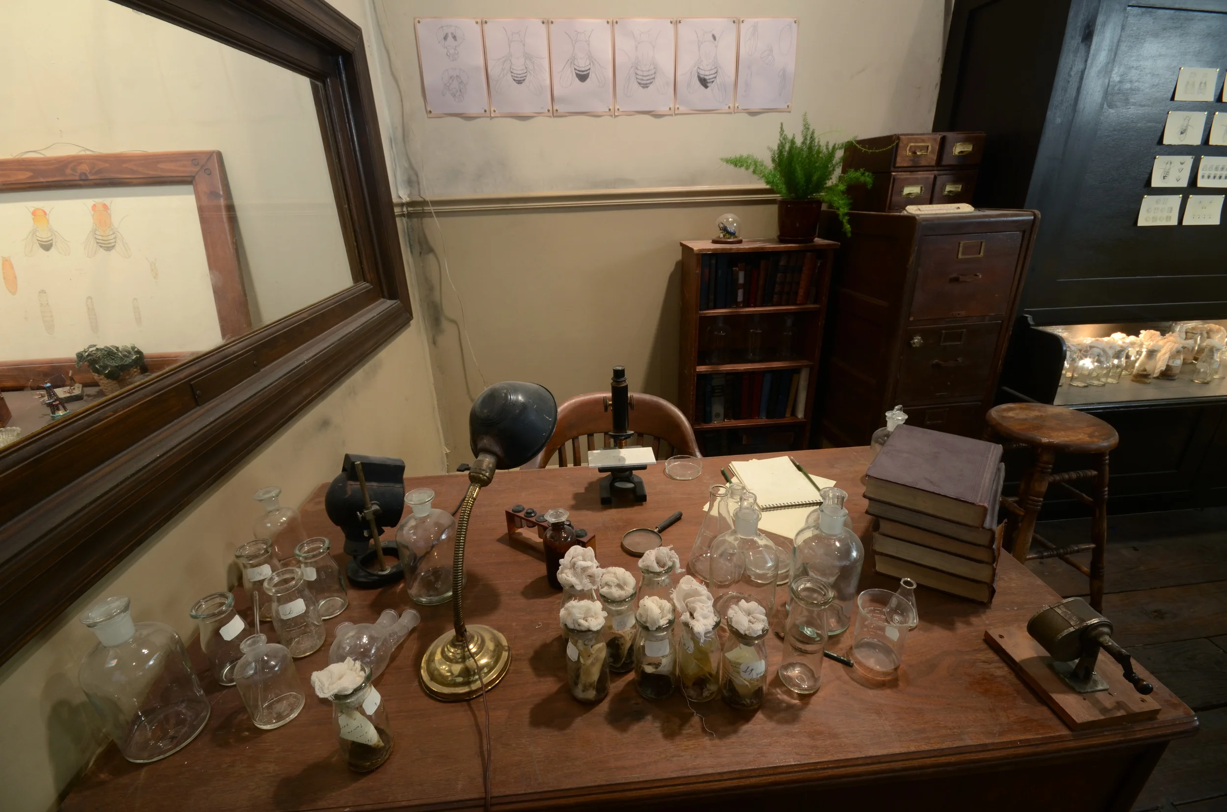 Laboratory Set, PioneerWorks