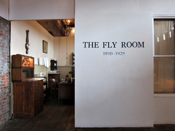 The laboratory set as an exhibit after the shoot - Pioneer Works, Brooklyn Exhibit Curator: Rose Meacham