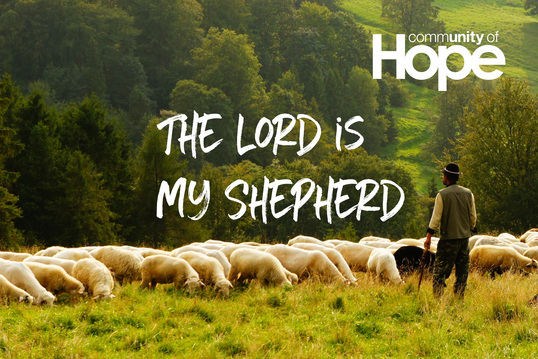 Shepherding.jpg