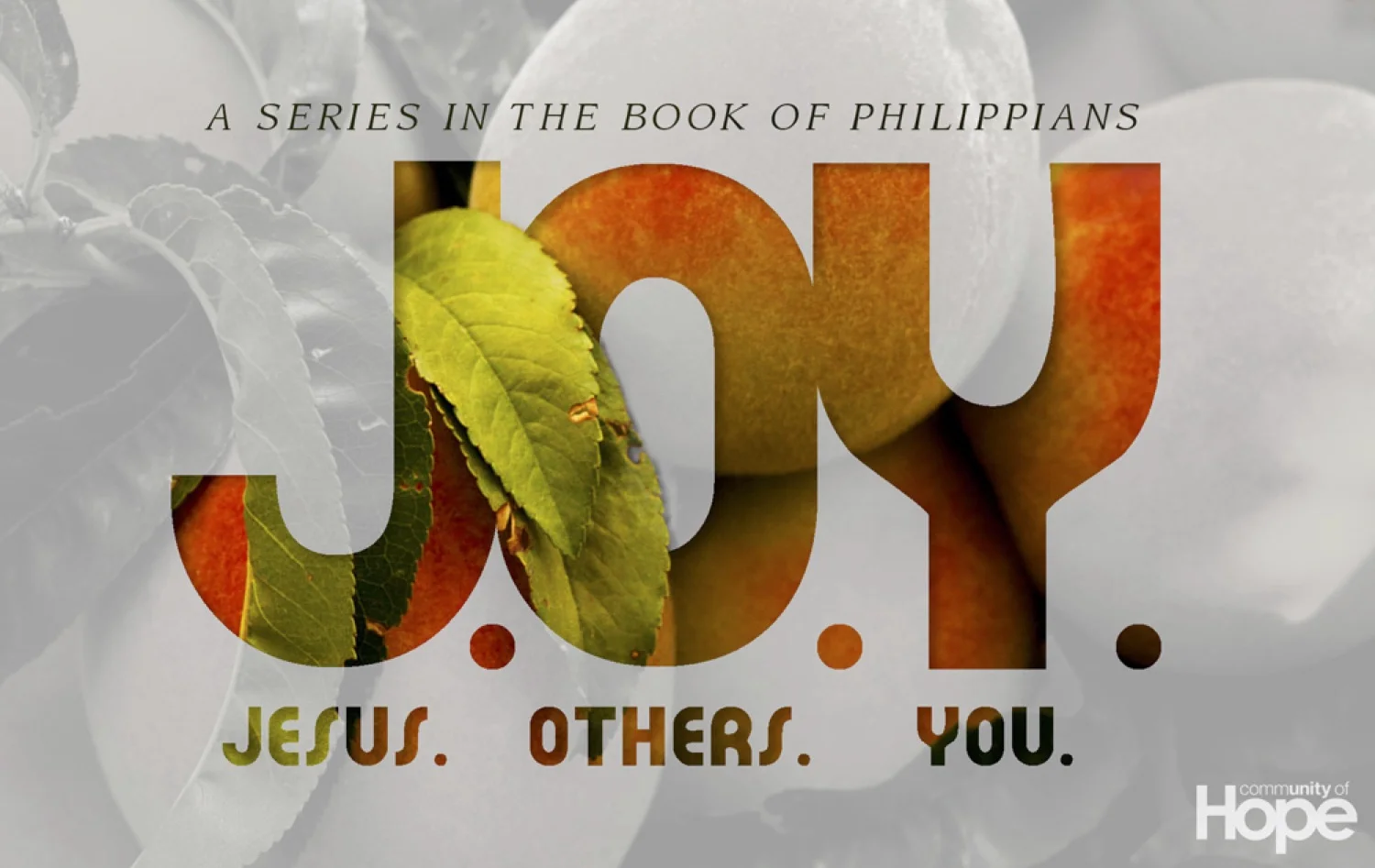 JOY Logo.jpg