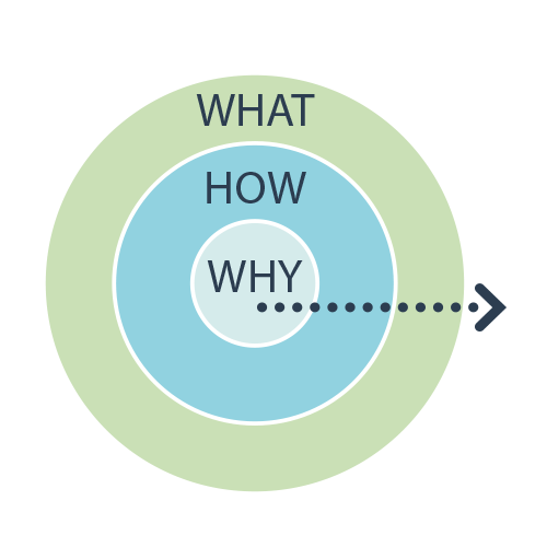 Positionerings model Simon Sinek