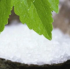 stevia2.jpg