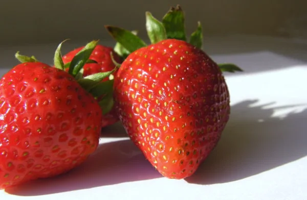 strawberry-trio.jpg