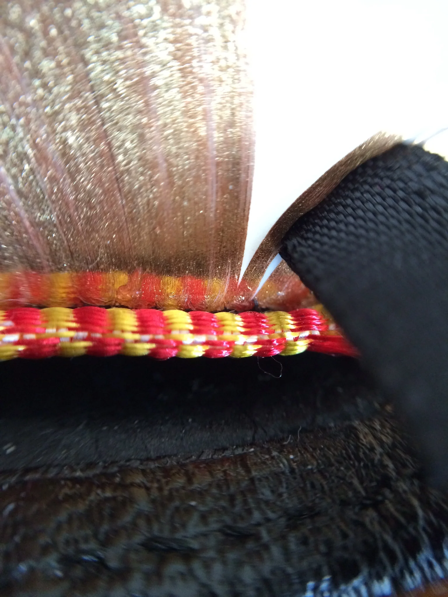 The Smyth Sewn Binding is what allows this Bible to lay flat and maintain its strength. Notice how beautifully each section of paper meets at the bottom. This Bible exhibits fine craftsmanship.