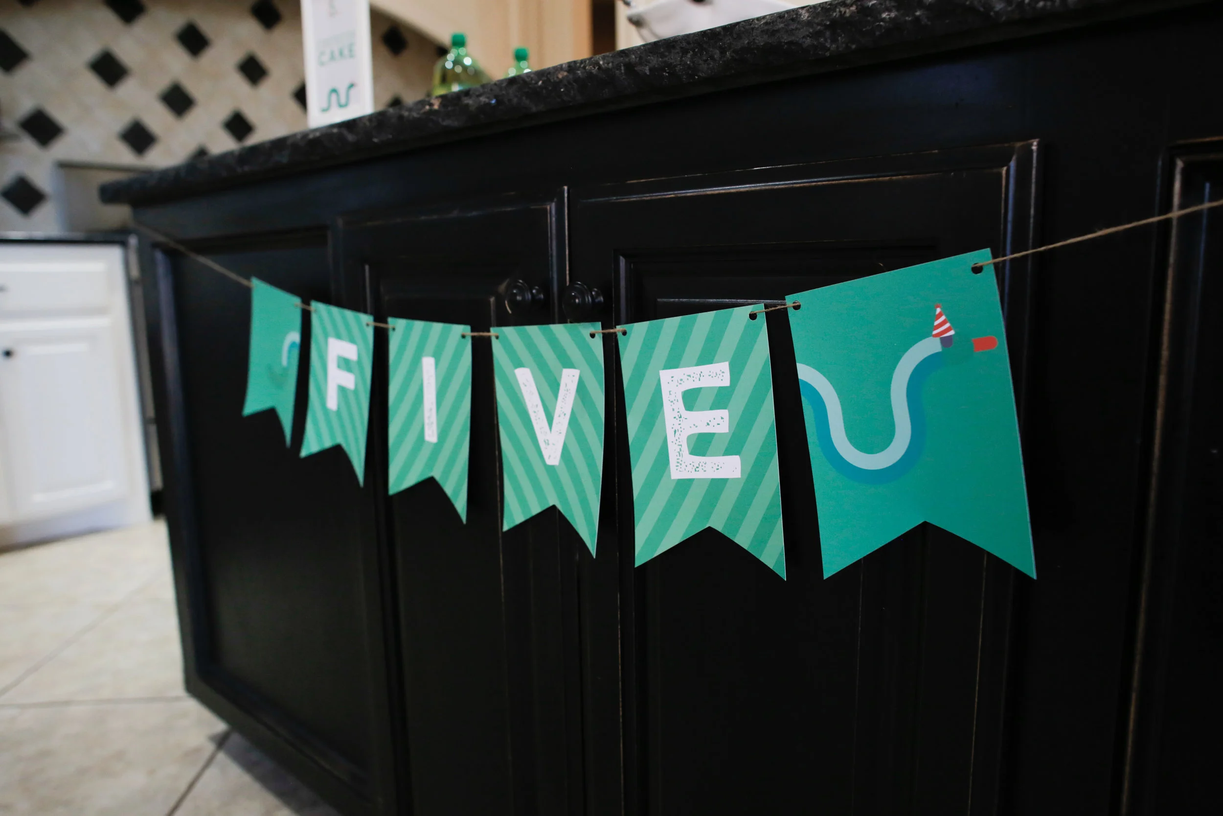 henry_5th_birthday-7.jpg