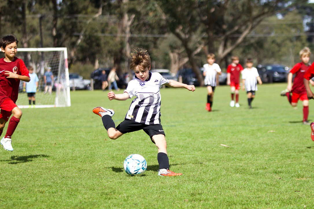 Collingwood City under-8 players