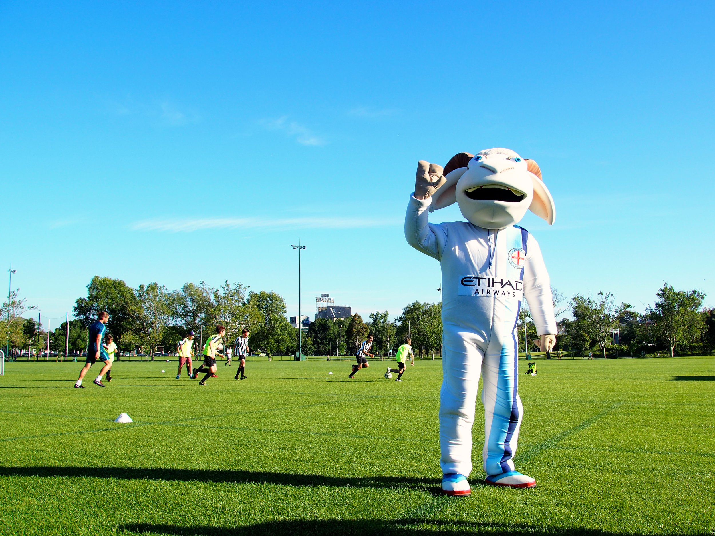 The ‘other’ type of team mascot.