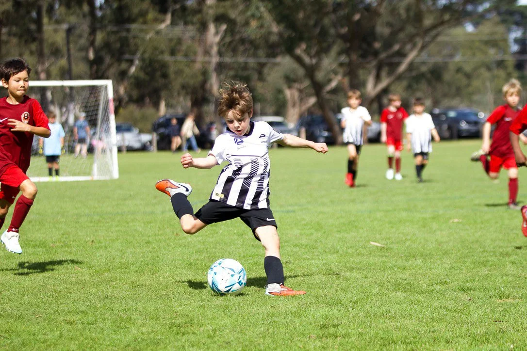 Collingwood City under-8 players