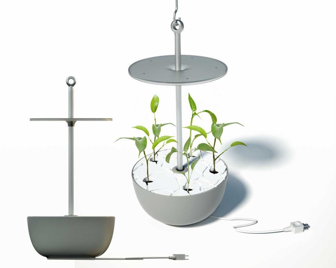 hanging buntpan2b.png