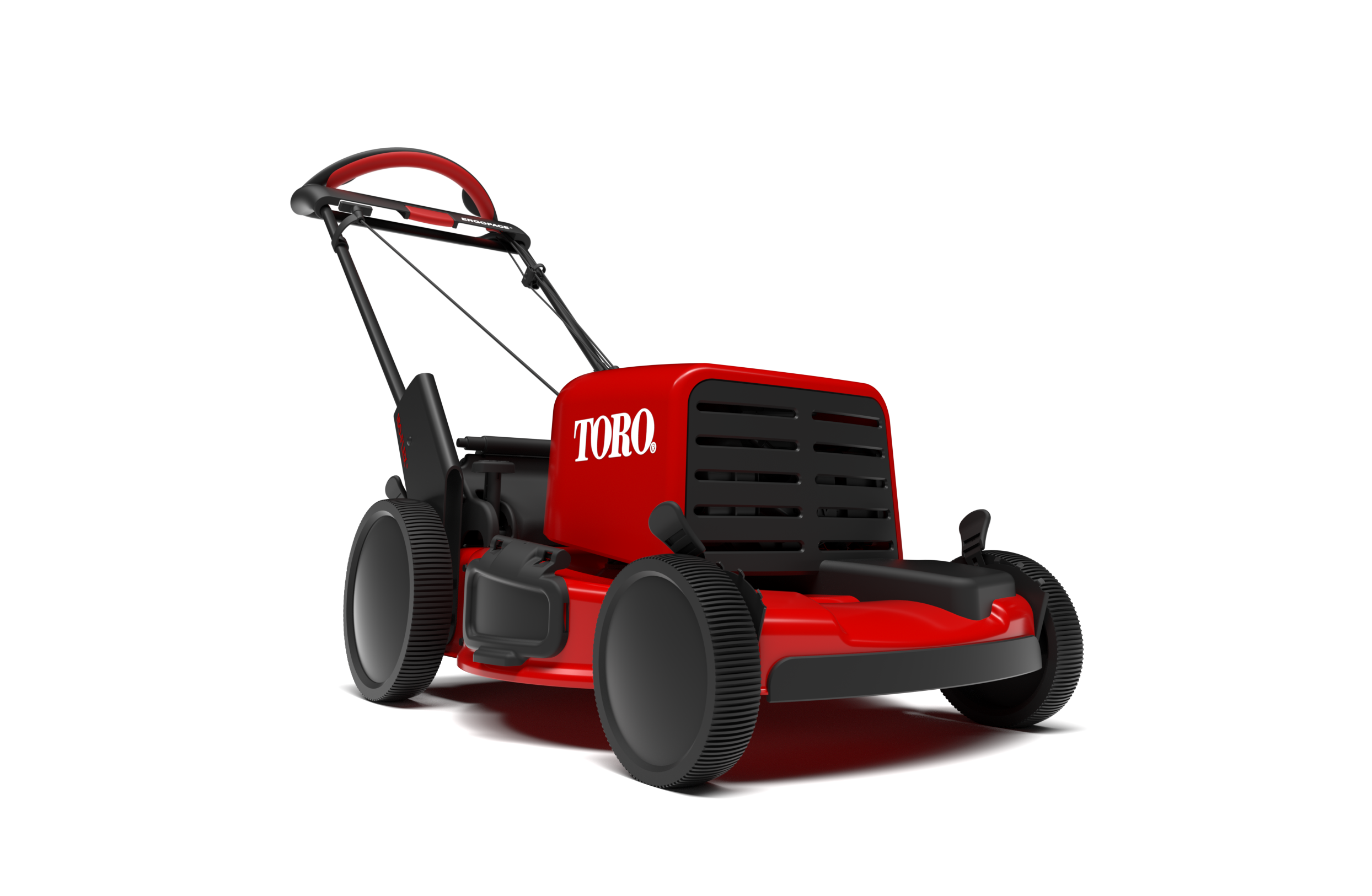 FRONT LOW - Copy.png