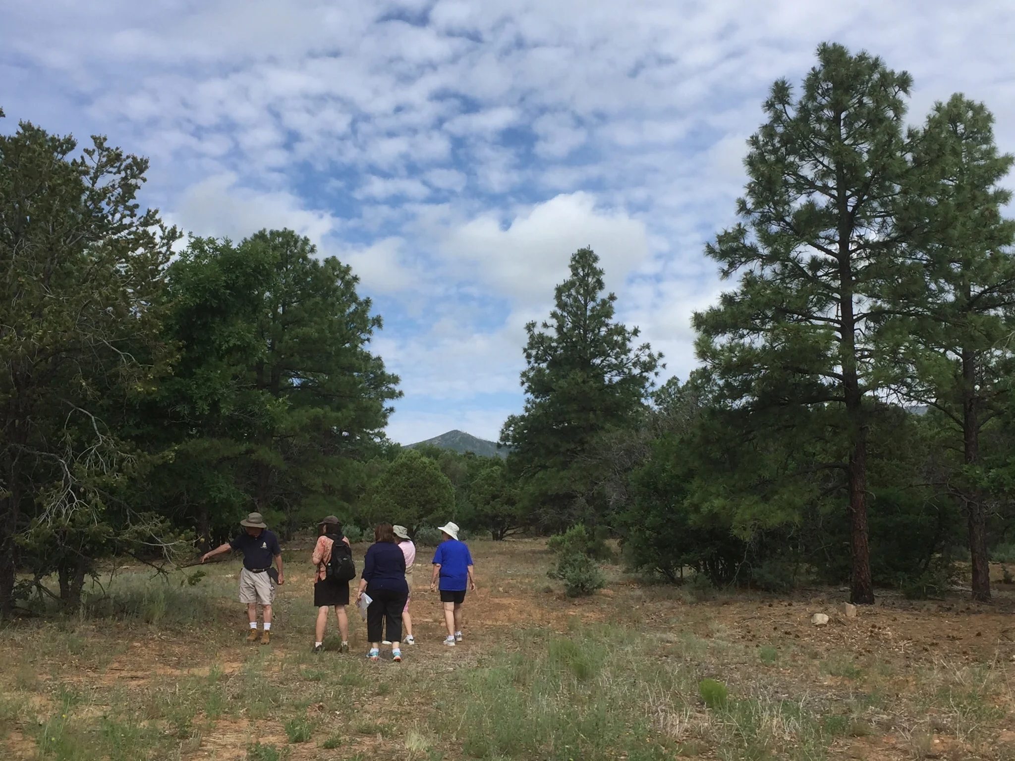 Sixty-plus acres of pine forest adjacent to the National Forest --are always available for hiking, nature walks, biking and exploration. Please bring your own helmet if biking.