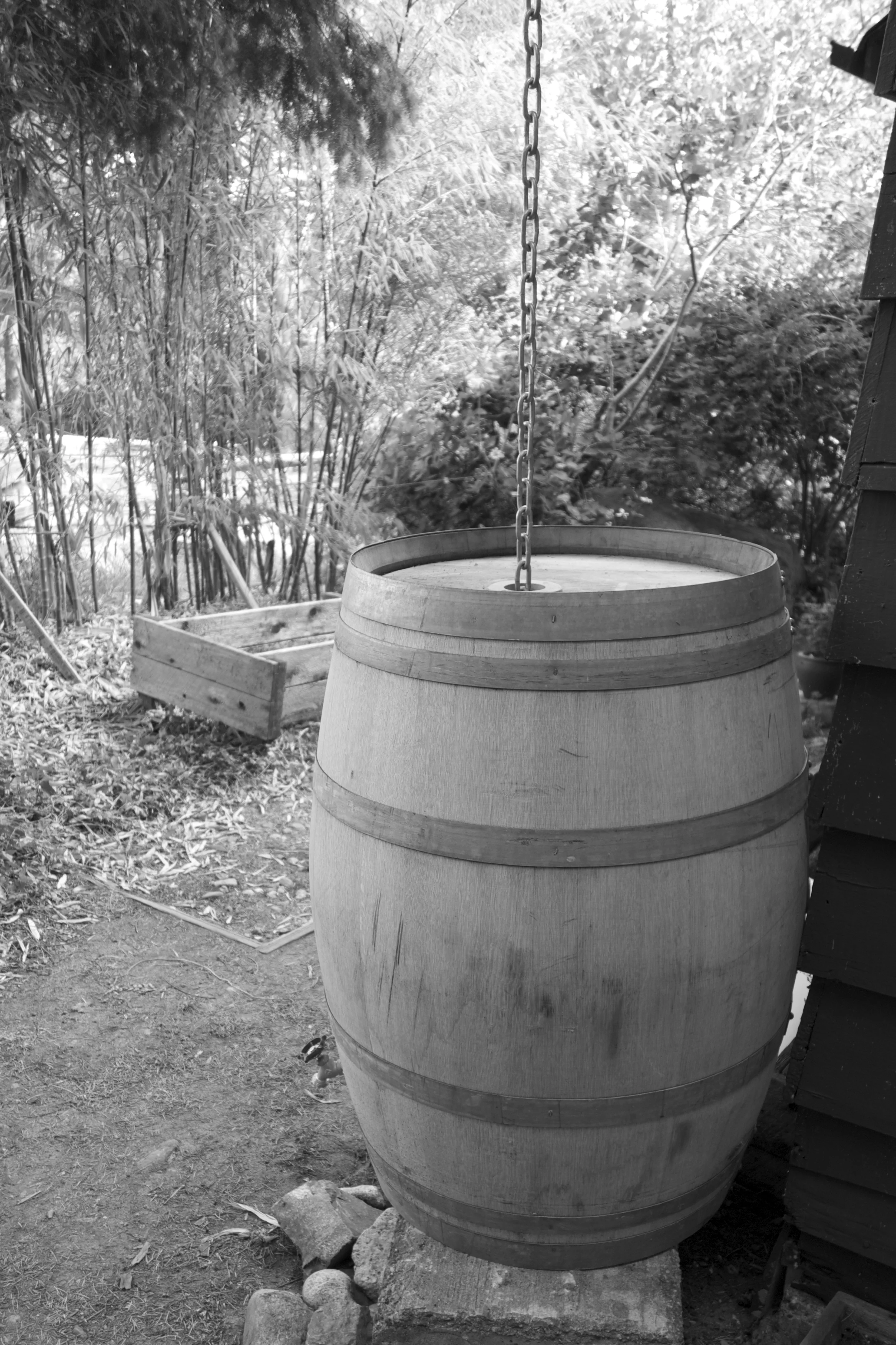  collecting rainwater 