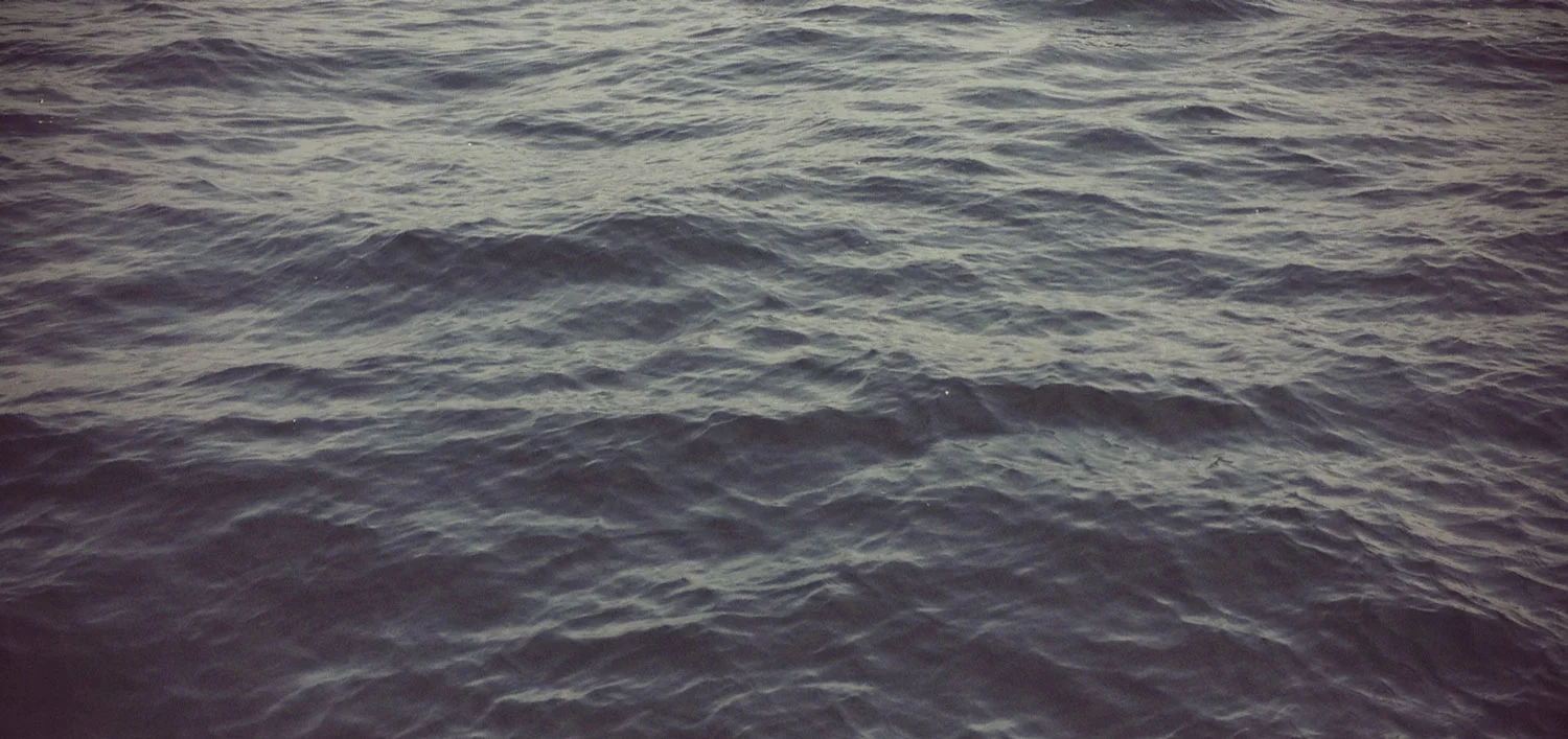 native-water-web.jpg