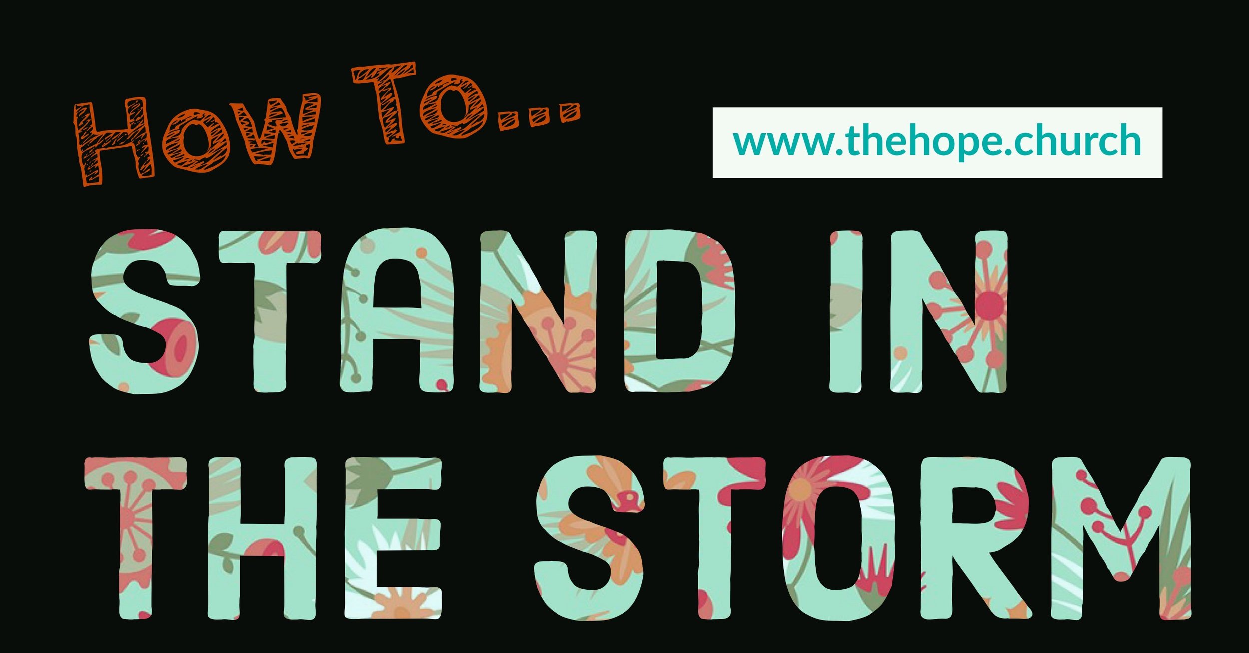 HOW TO ... Stand in the STORM