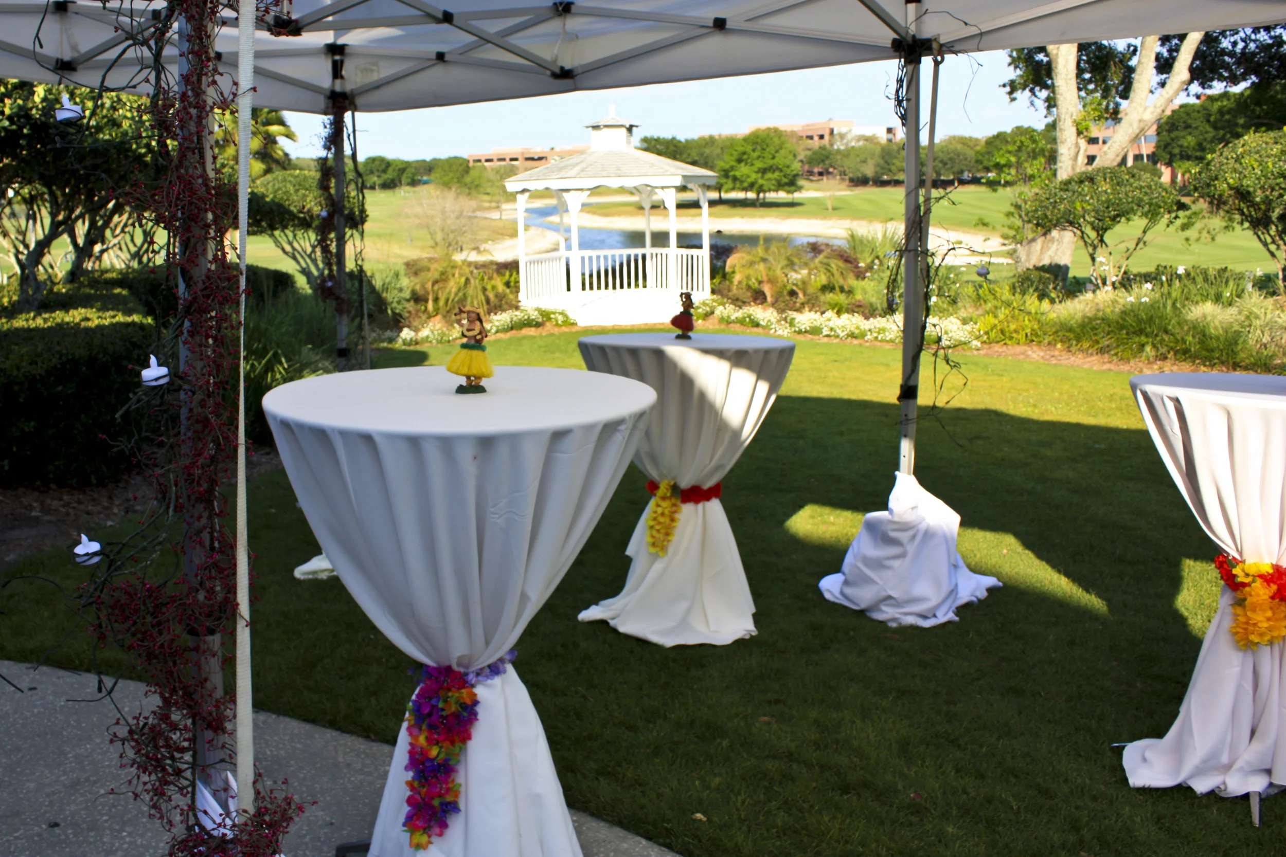 Evening in Paradise HWC 035.JPG