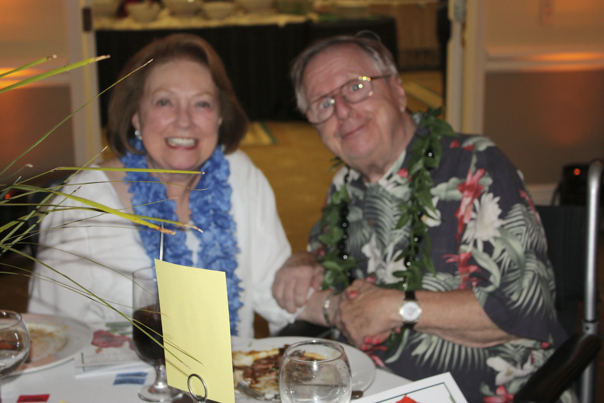 Evening in Paradise HWC 101.JPG