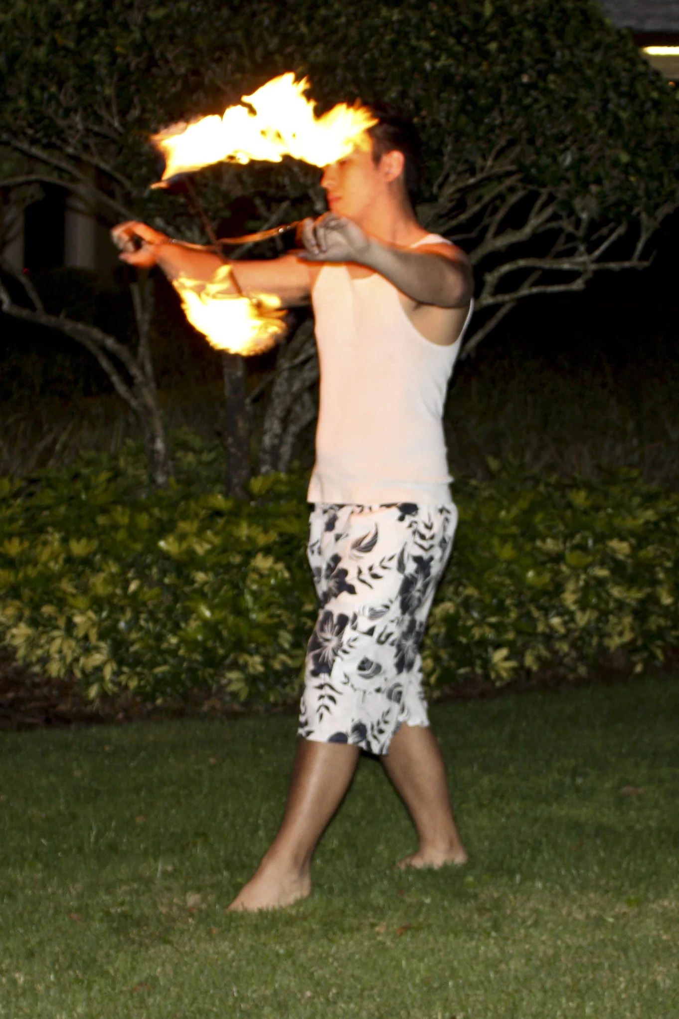 Evening in Paradise HWC 125.JPG