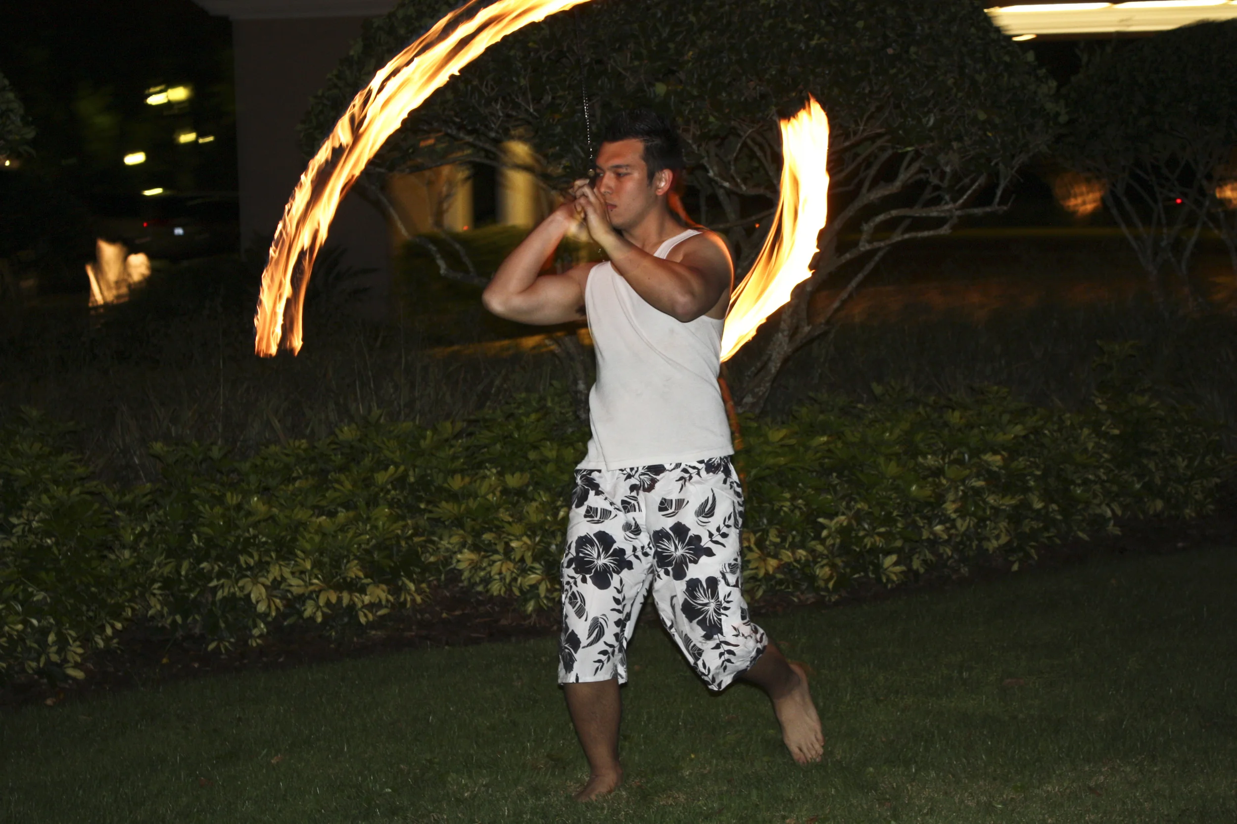 Evening in Paradise HWC 130.JPG