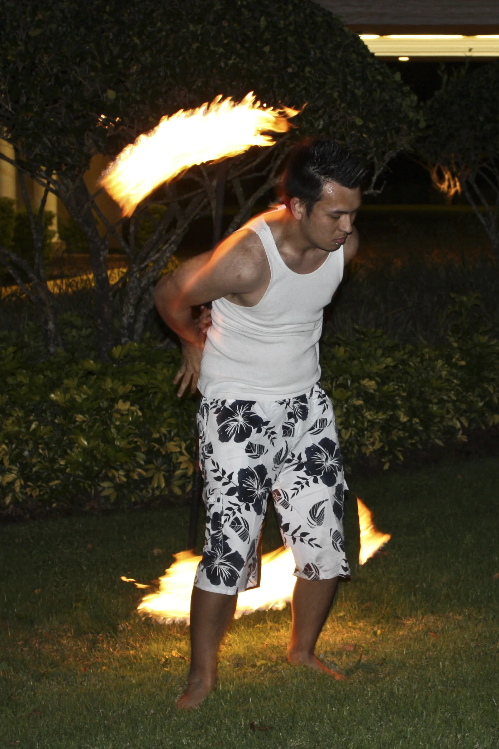 Evening in Paradise HWC 135.JPG