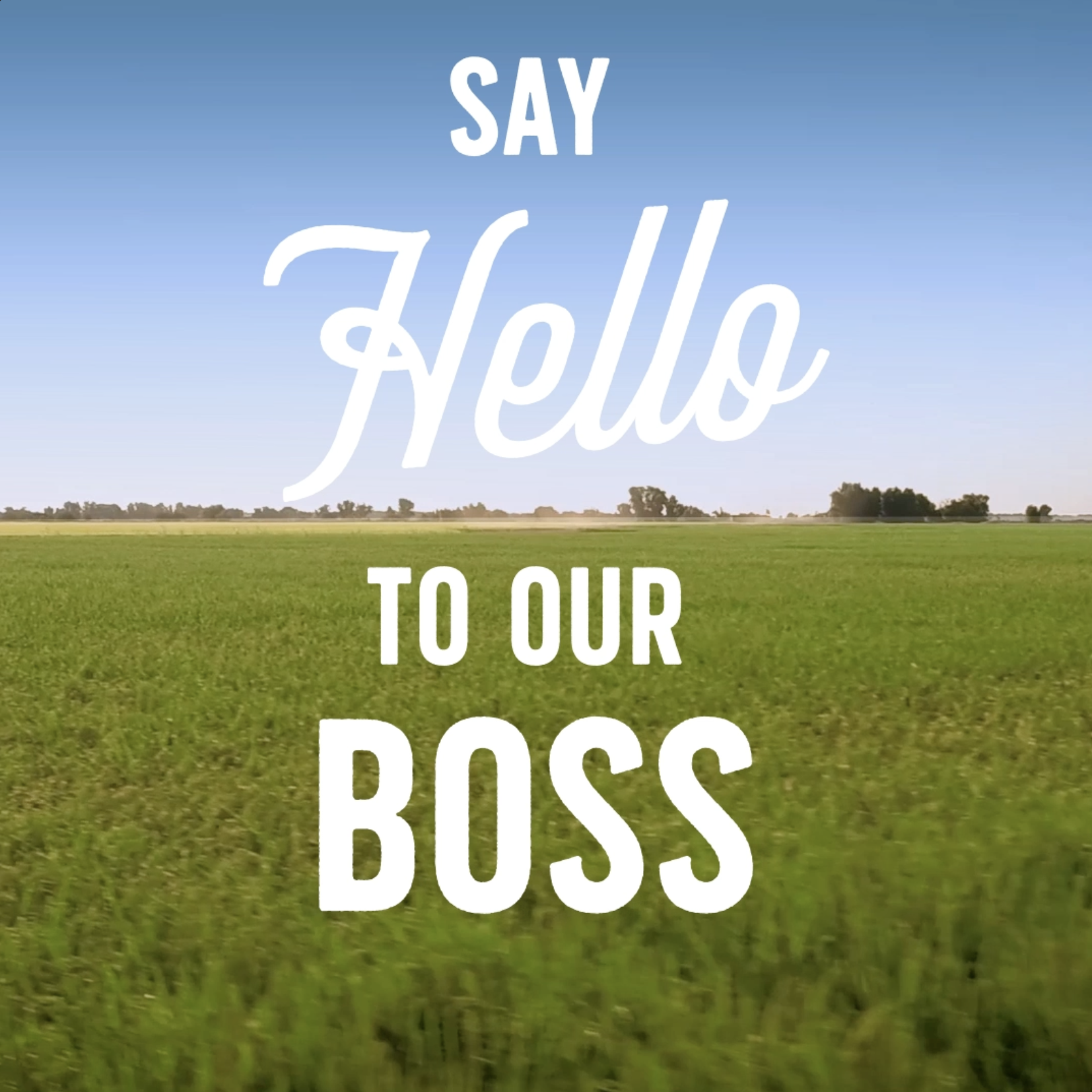 Our Boss