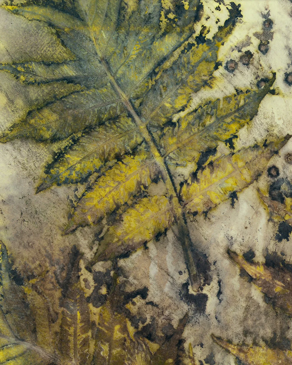 cover-ecoprint_fluweelboom.jpg