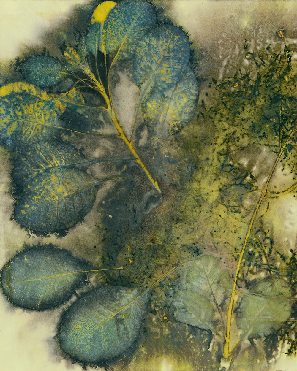 cover-ecoprint_pruikenboom2.jpg