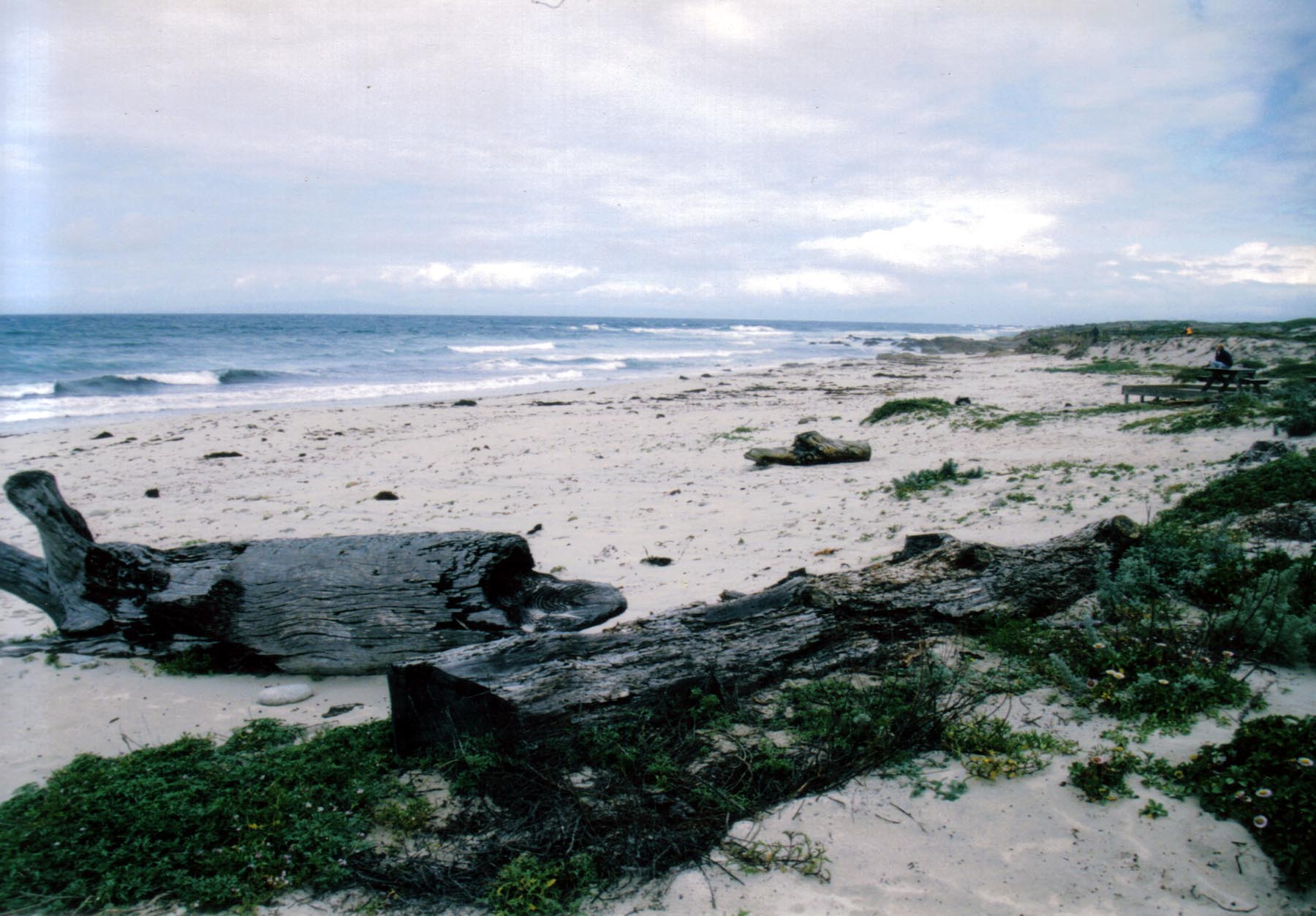 From the Monterey Series, c-print 16x20