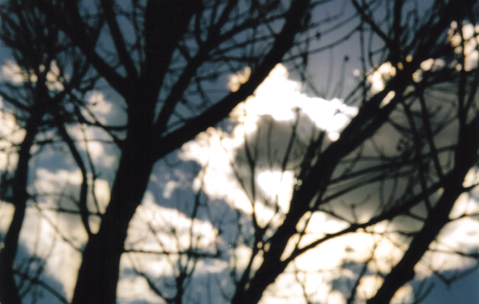 From the Nogales Street series, c-print