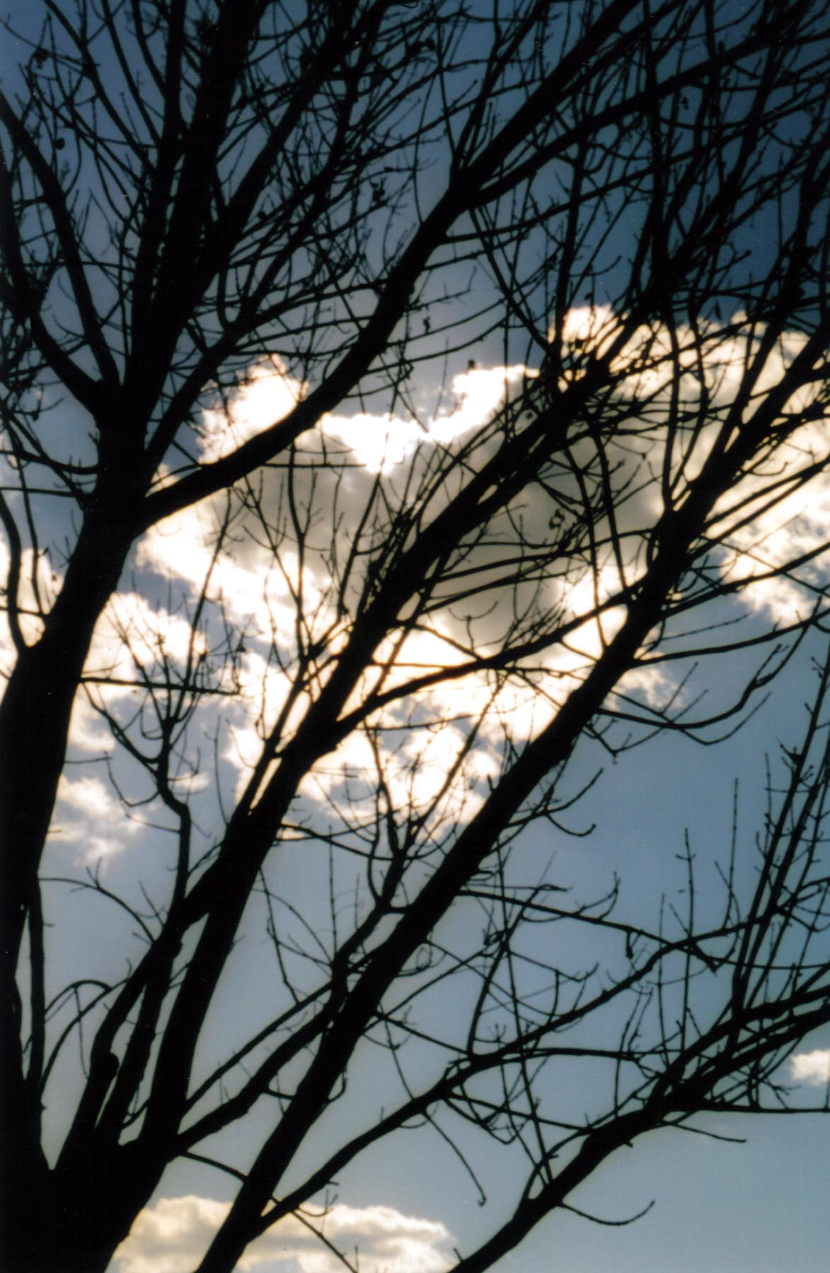 From the Nogales Street series, c-print